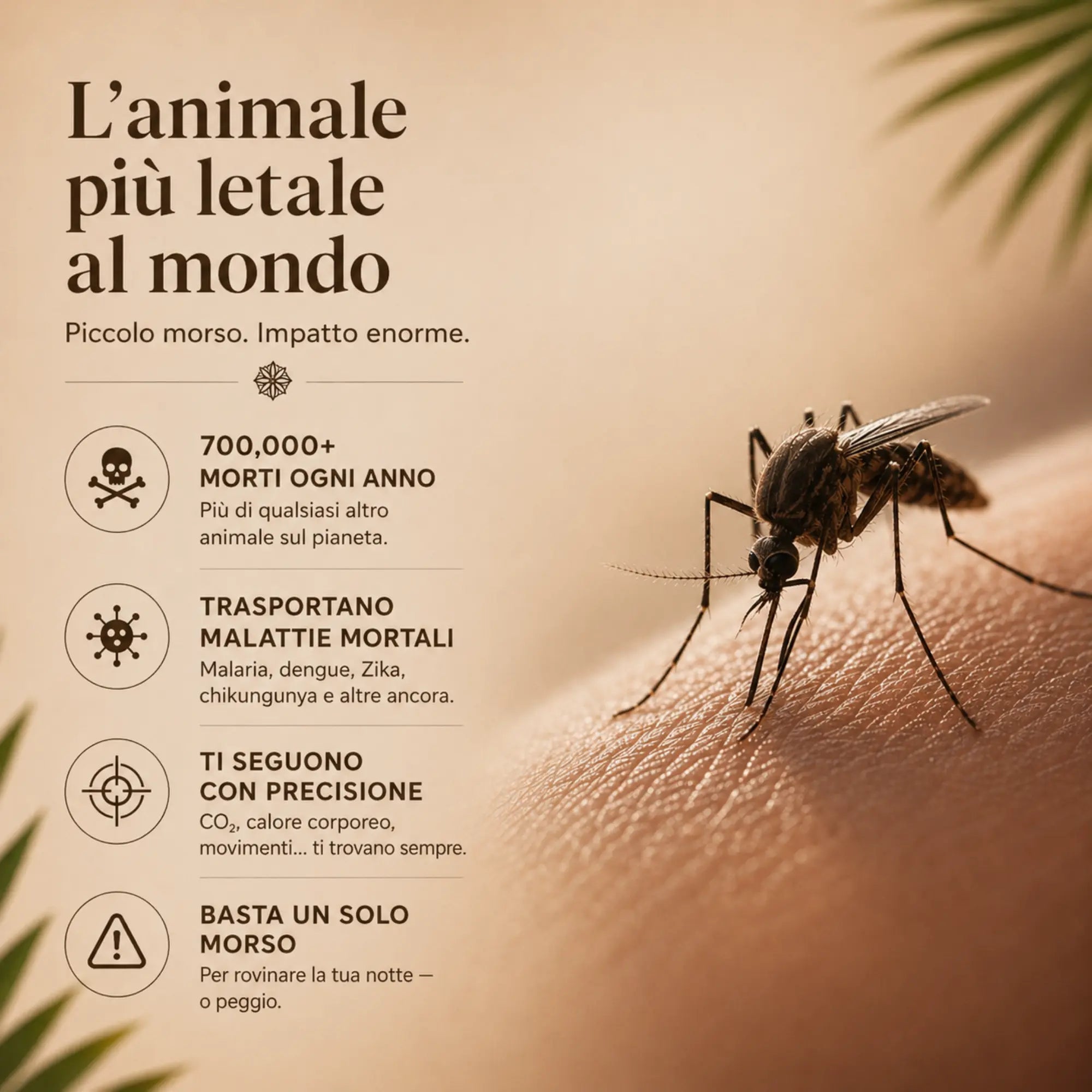 LunaCandle® - Citronella